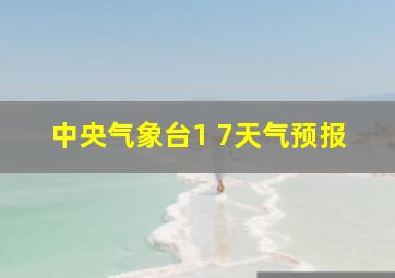 中央气象台1 7天气预报